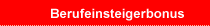 Berufeinsteigerbonus