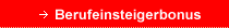 Berufeinsteigerbonus